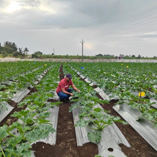 WhatsApp Image 2026-02-12 at 3.49.05 PM