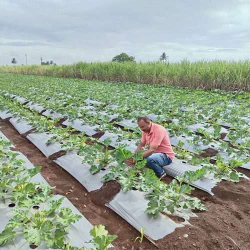 WhatsApp Image 2026-02-12 at 3.49.10 PM