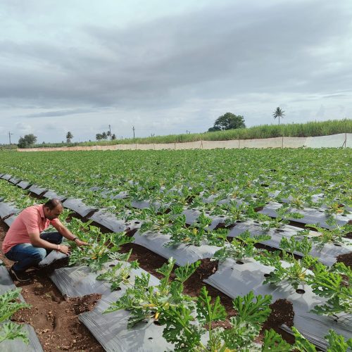 WhatsApp Image 2026-02-12 at 3.49.11 PM